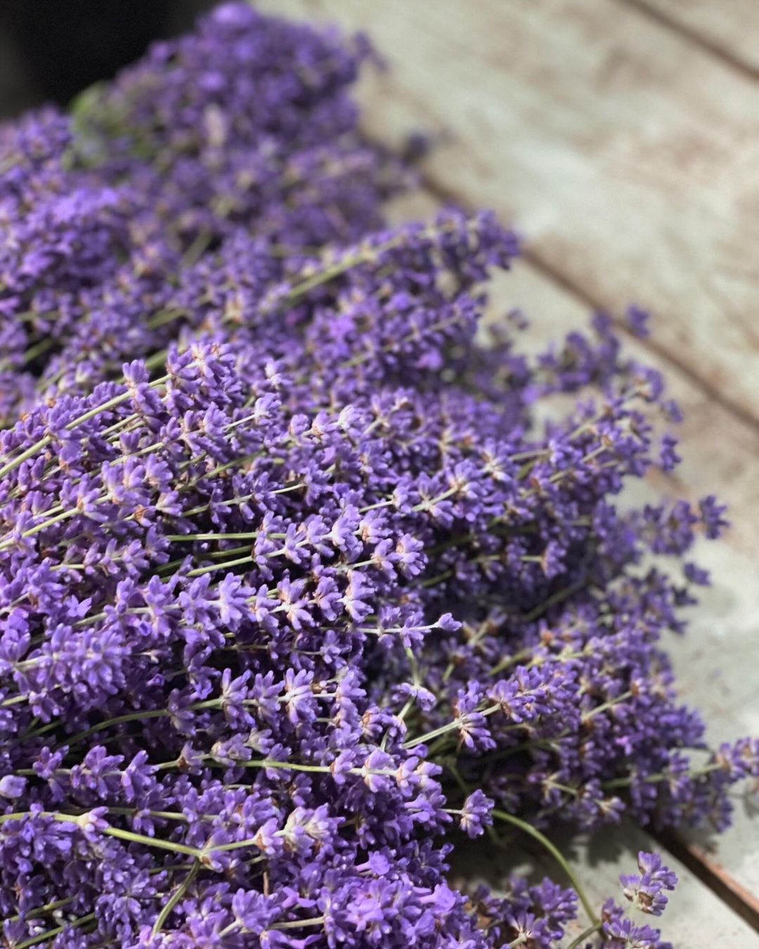 Purple lavender flowers arranged on a rustic wooden table.