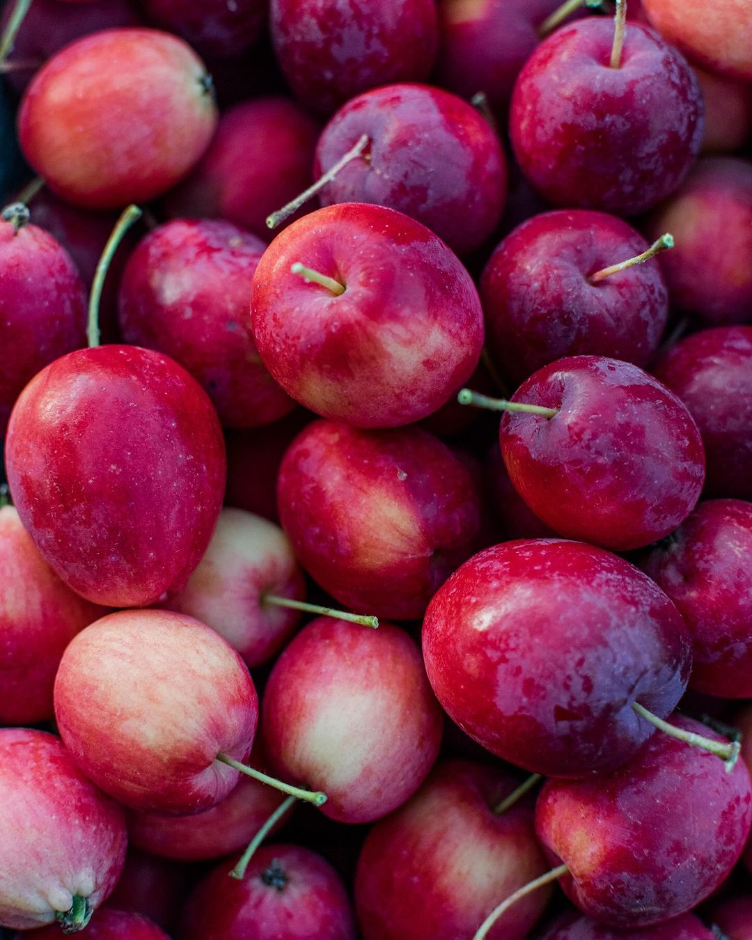 Crabapple is a small, tart apple with a firm texture and vibrant color, often used in jams, jellies, and ornamental displays.