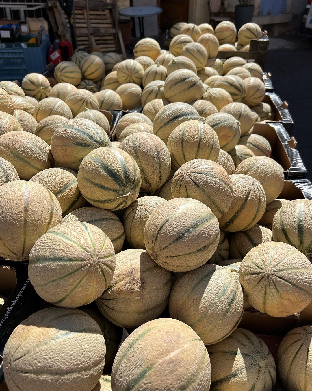 Cantaloupe is a juicy, orange-fleshed melon with a sweet, aromatic flavor, perfect for refreshing summer snacks