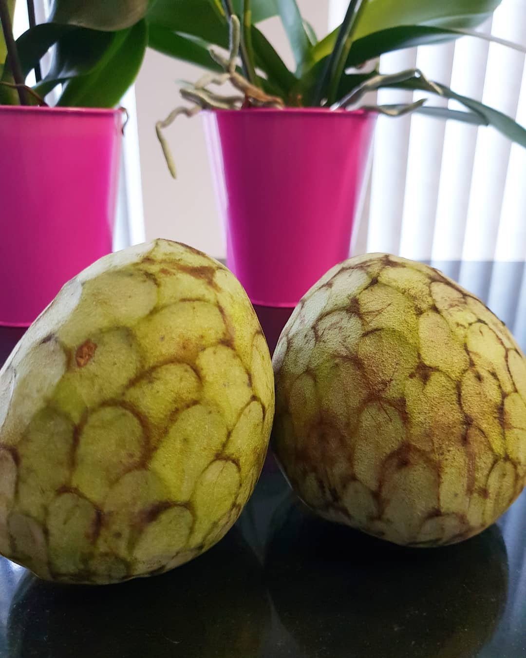 Cherimoya is a creamy, tropical fruit with a sweet, custard-like flavor and a green, scaly skin, often enjoyed fresh or in desserts.