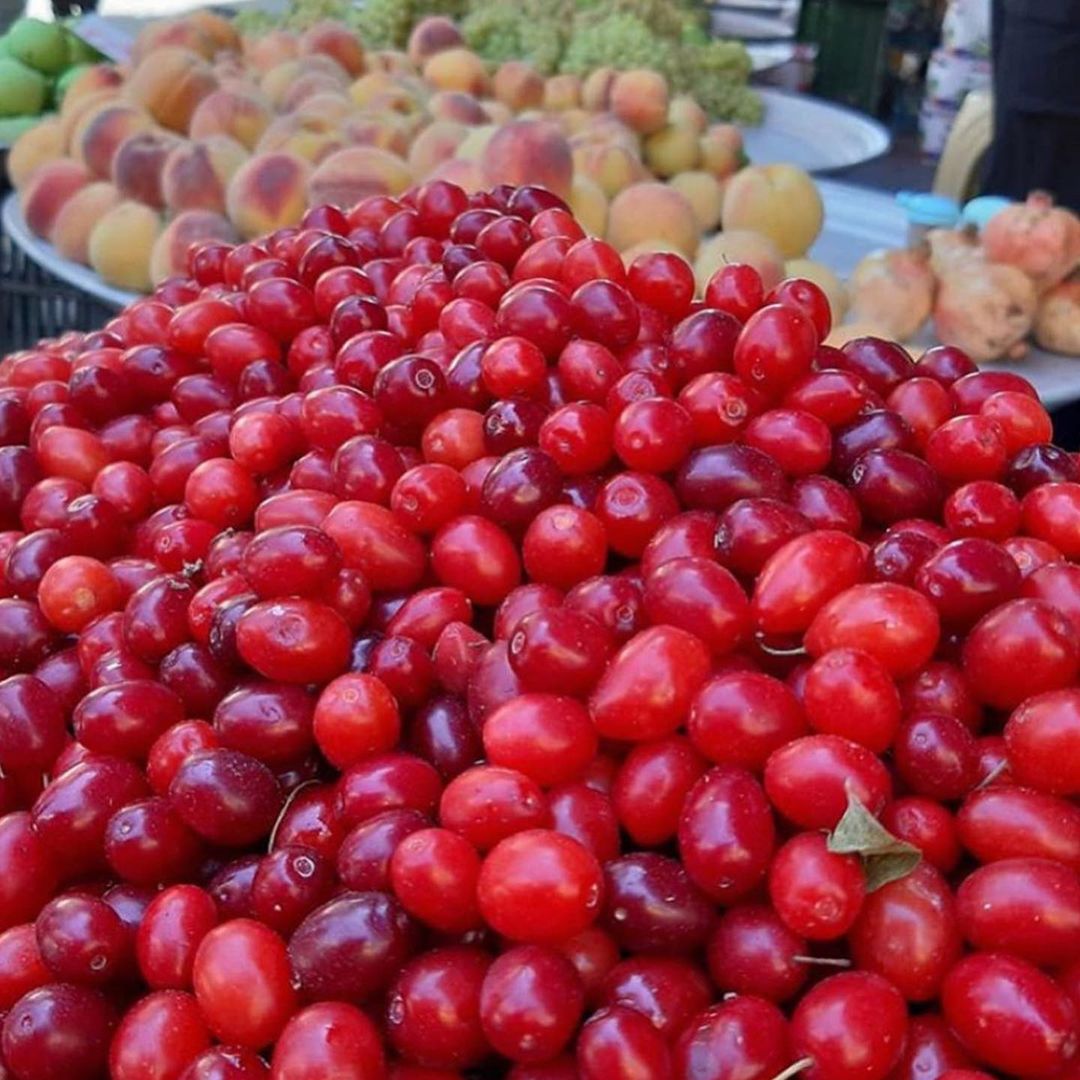 Cornelian cherry is a tangy, red fruit with a firm texture and a distinctive sour-sweet flavor, often used in jams and traditional dishes.