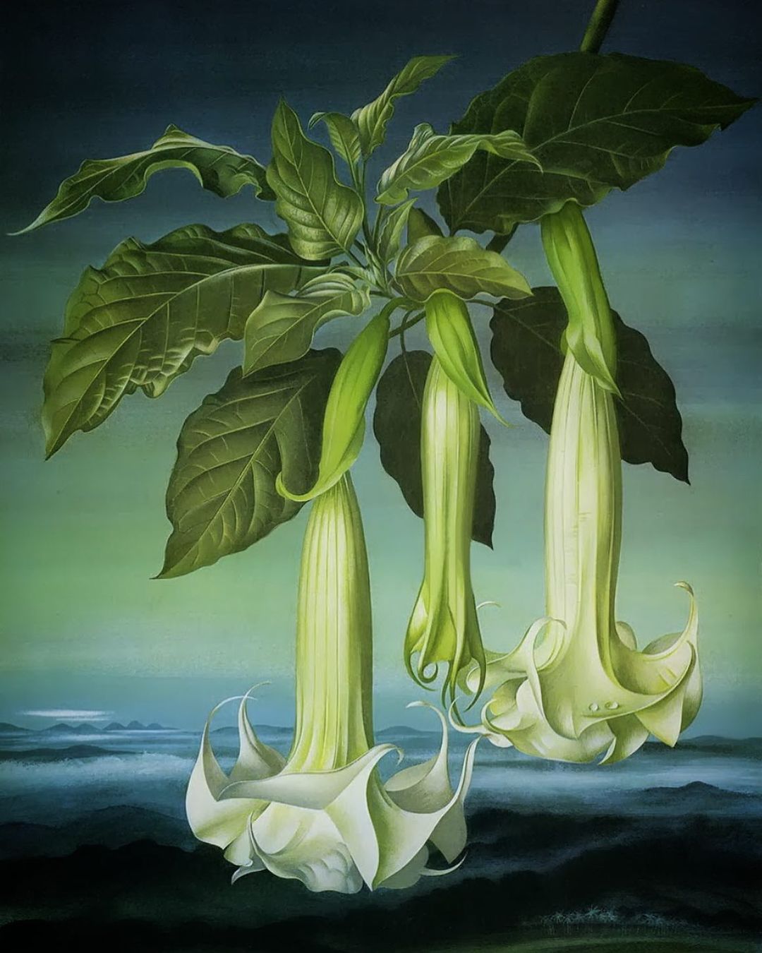 A painting depicting two white Angel