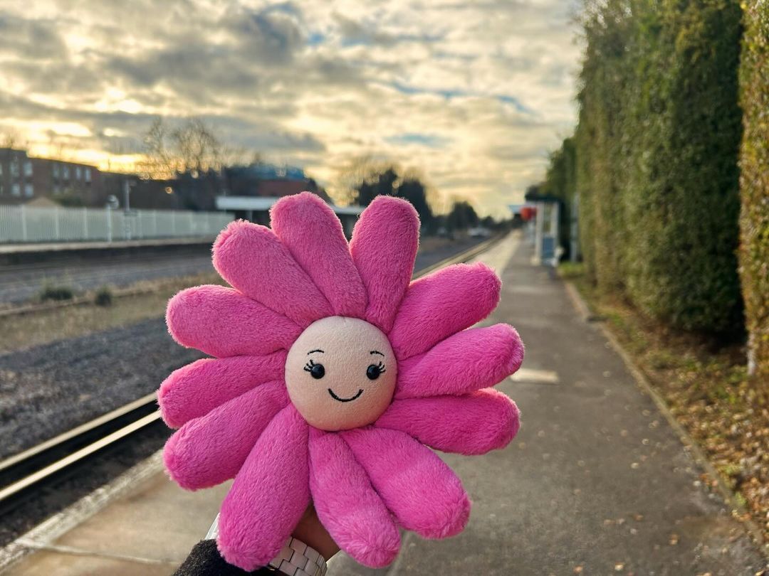 Jellycat flowers are whimsical, plush creations that bring a playful, soft touch of nature to cuddles and decor.