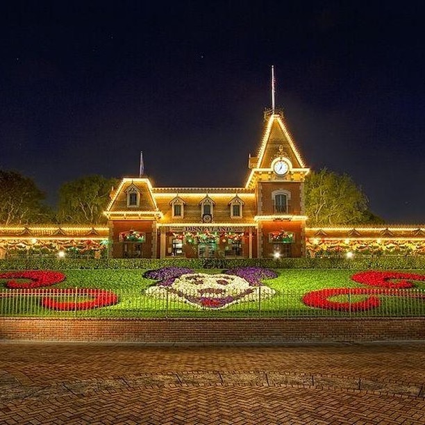 Colorful flower bed featuring Mickey Mouse design, set against the magical backdrop of Disneyland.