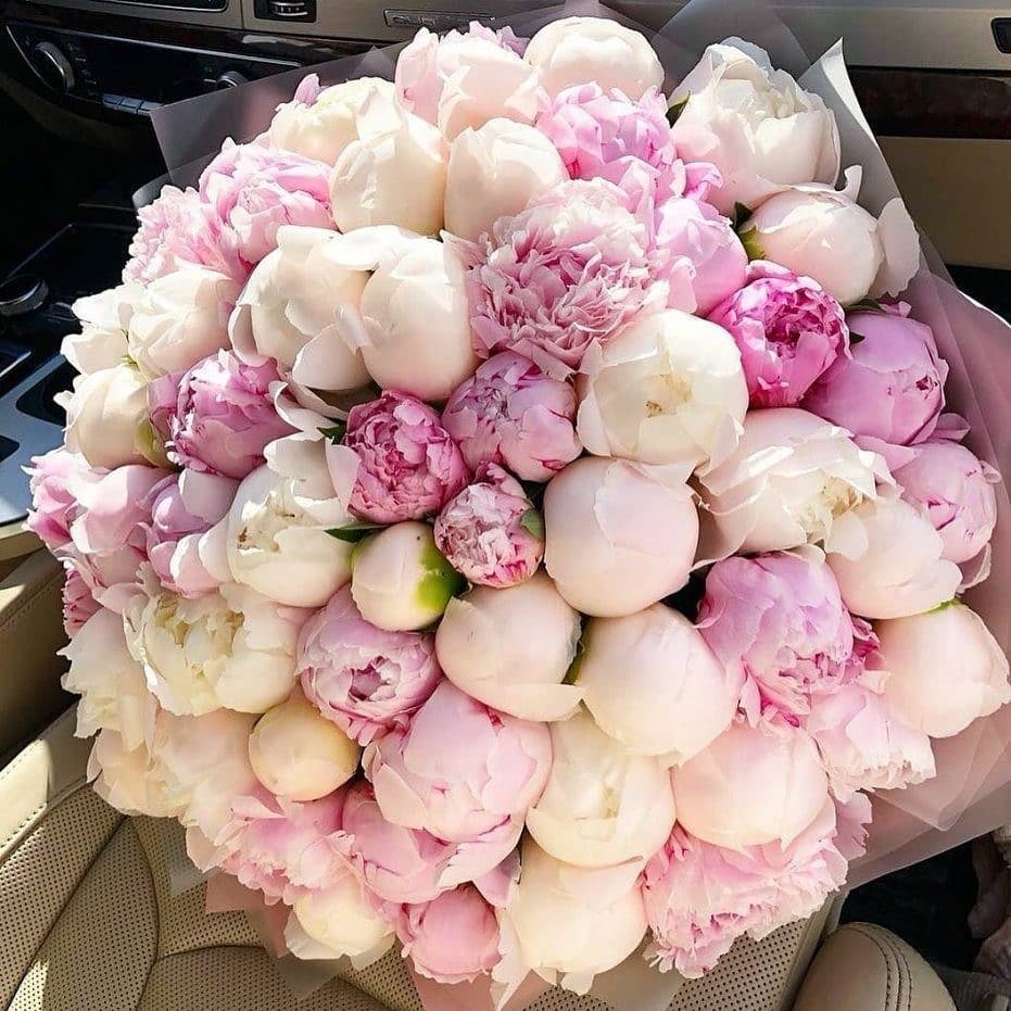 Peonies are lush, romantic flowers with large, fragrant blooms in a range of colors, symbolizing prosperity, romance, and good fortune.