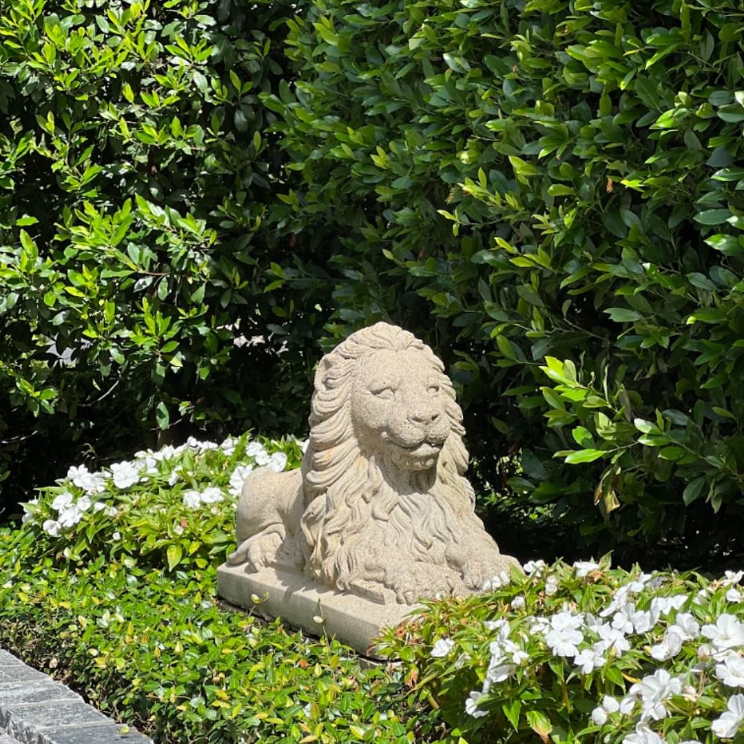 A concrete stone lion statue stands majestically in a lush garden, surrounded by vibrant greenery and colorful flowers.