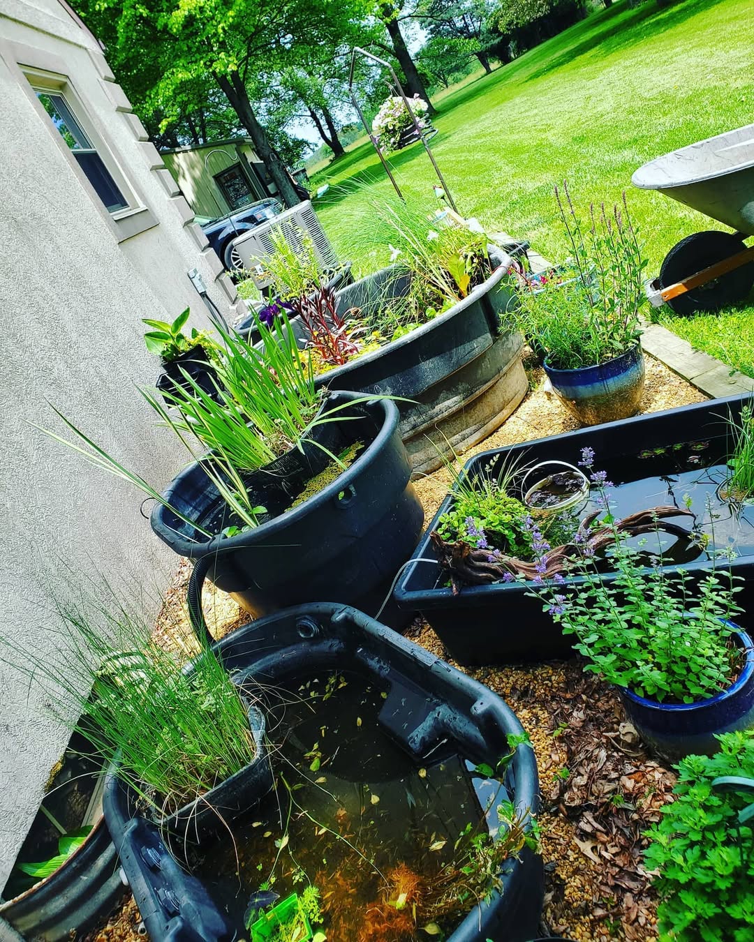 Other Water Features