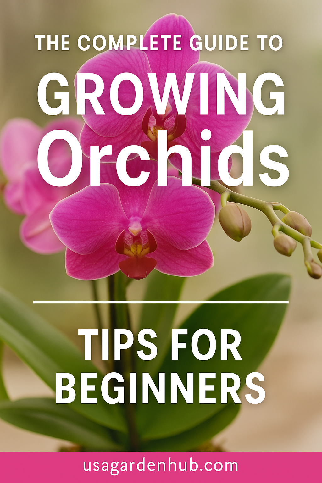The Complete Guide to Growing Orchids Tips for Beginners