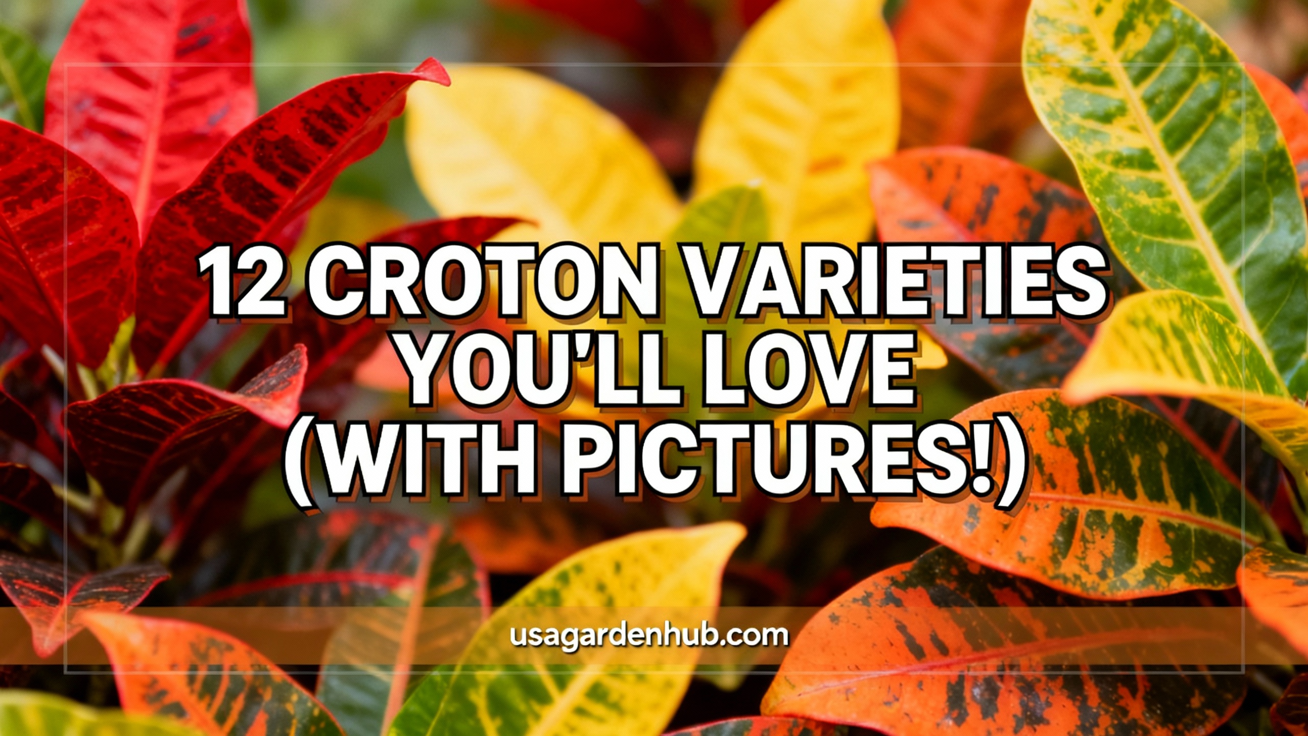 12 Types of Croton Plant Varieties with Names and Pictures.