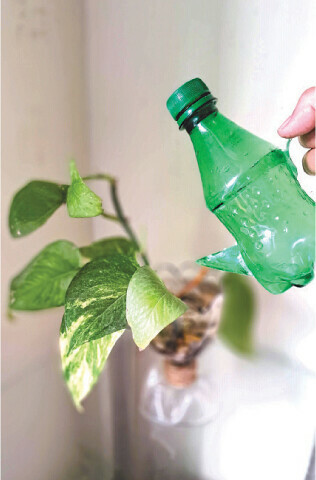 Bottle Watering Cans