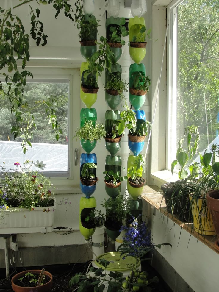 bottle Vertical Garden Wall