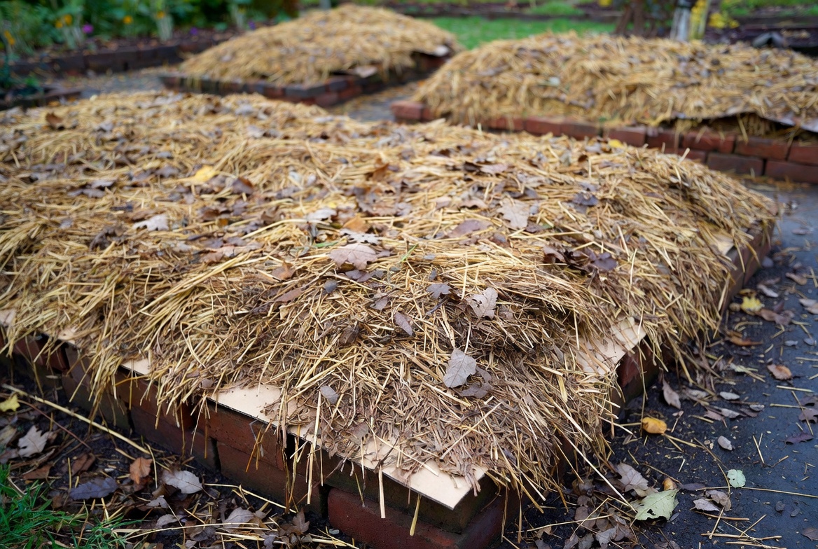 Mulching: The Cheapest Way to Keep Weeds Out of Your Garden