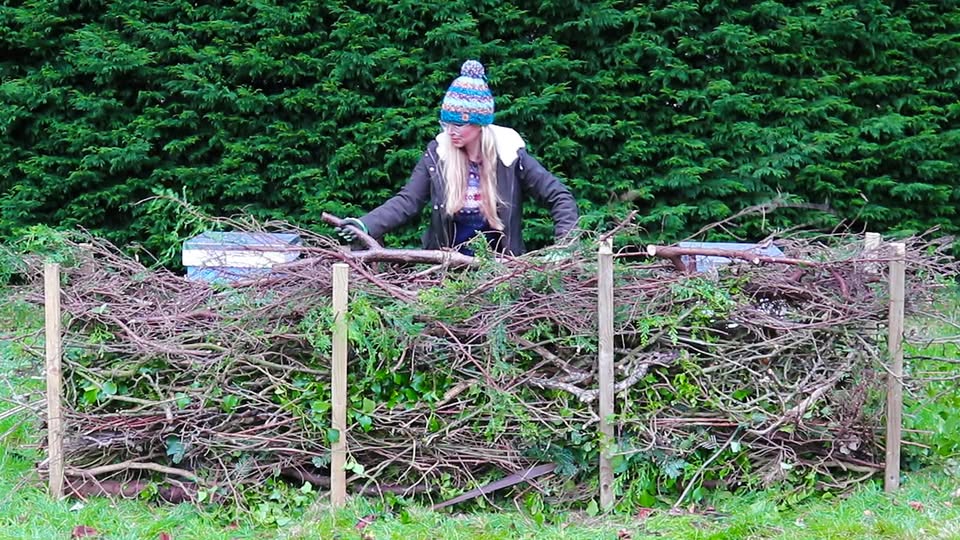 Windbreak Ideas Using Garden Debris: Protect Your Garden Naturally