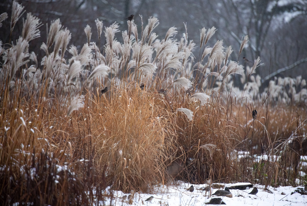 Design a Winter Interest Feature