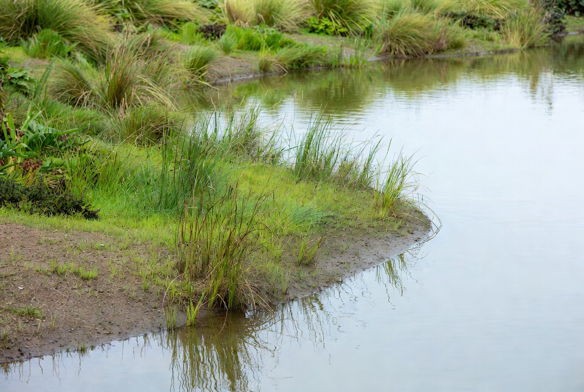 Enhance Water Features or Damp Areas