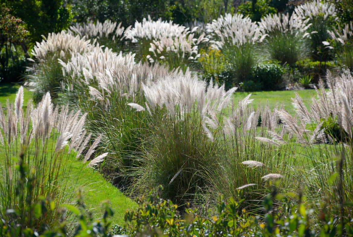 Form Informal Hedges or Accents