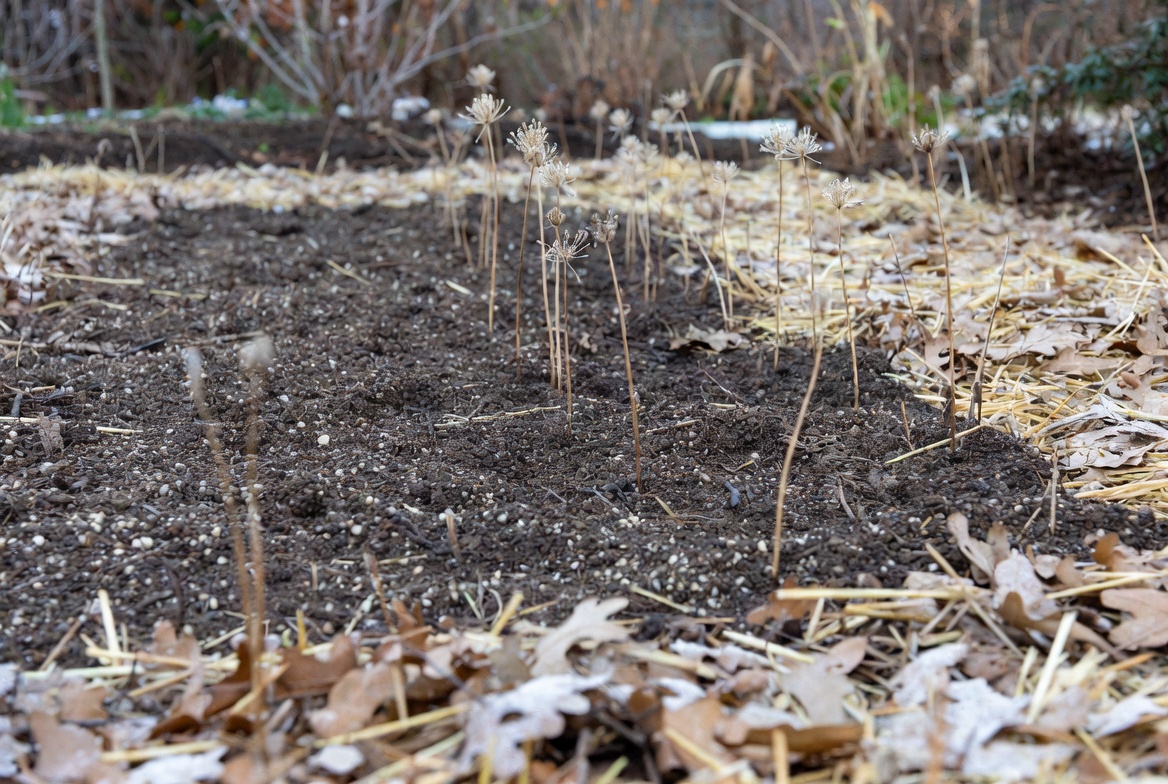 Prepare the Site Before Winter