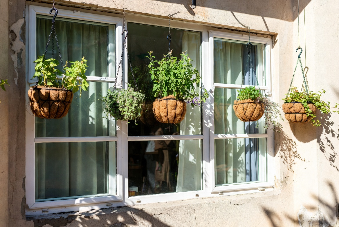 Window Curtains of Green Creative Ways to Display Plants in Baskets