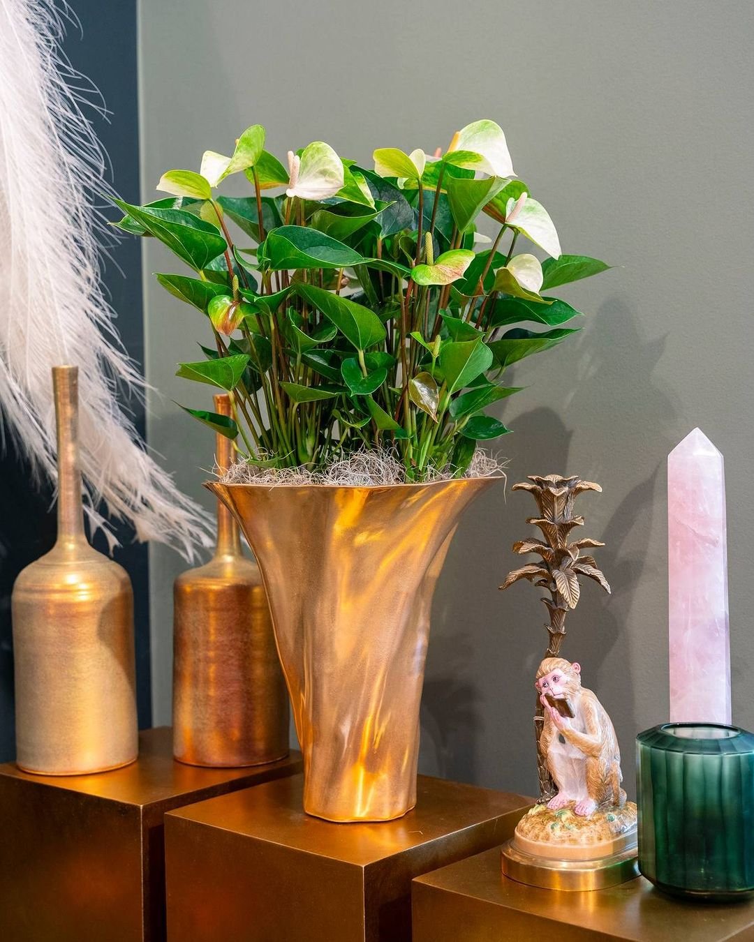 A golden vase with an Anthurium plant inside.