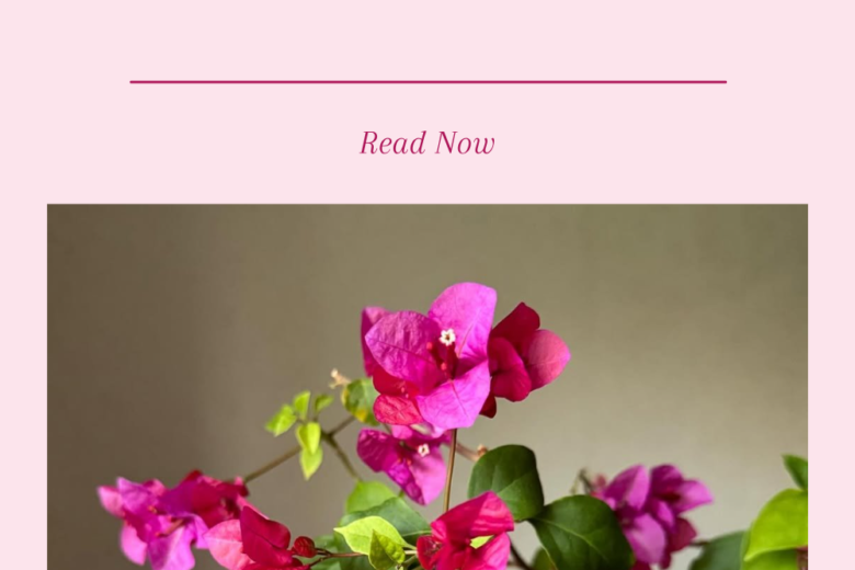 Bougainvillea Flower Secrets_ Grow Like an Expert!