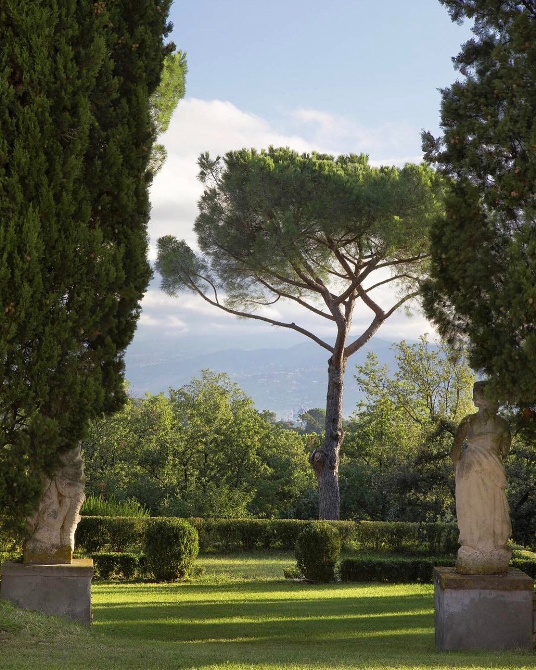  A scenic garden at Villa di Poggioreale with a majestic Cypress Tree.