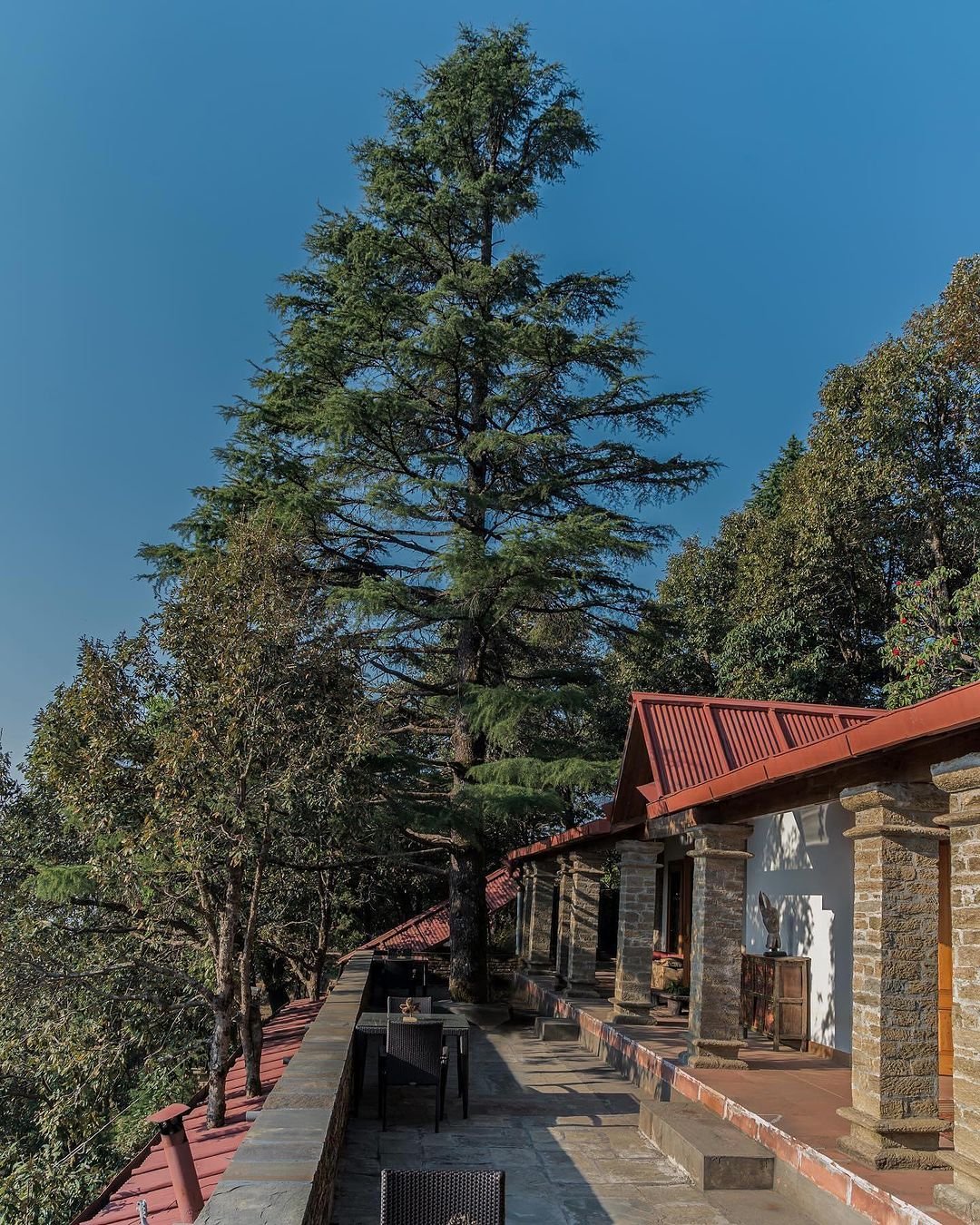 A view of the Deodar house from the balcony.