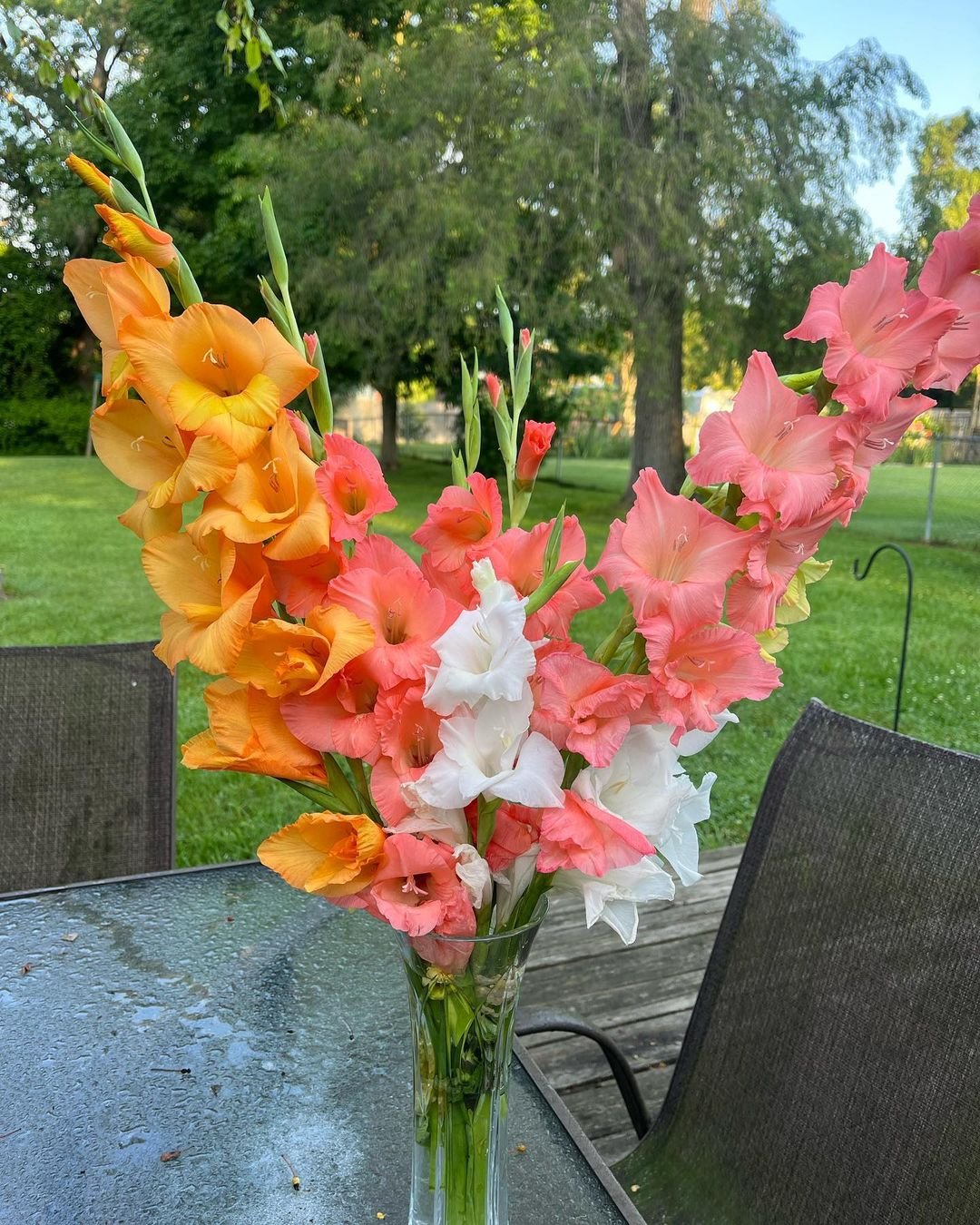 A vase of gladiolus flowers on an outdoor table.