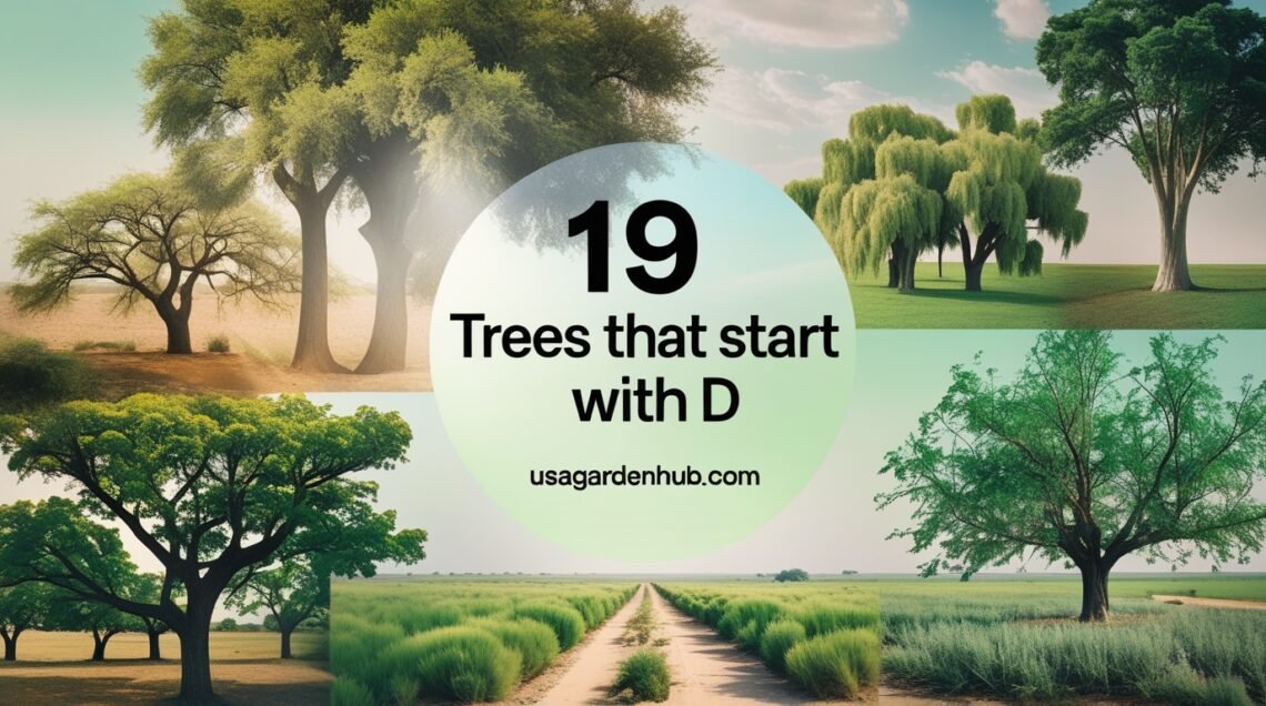 Collage of trees starting with D - 19 Trees that start with D