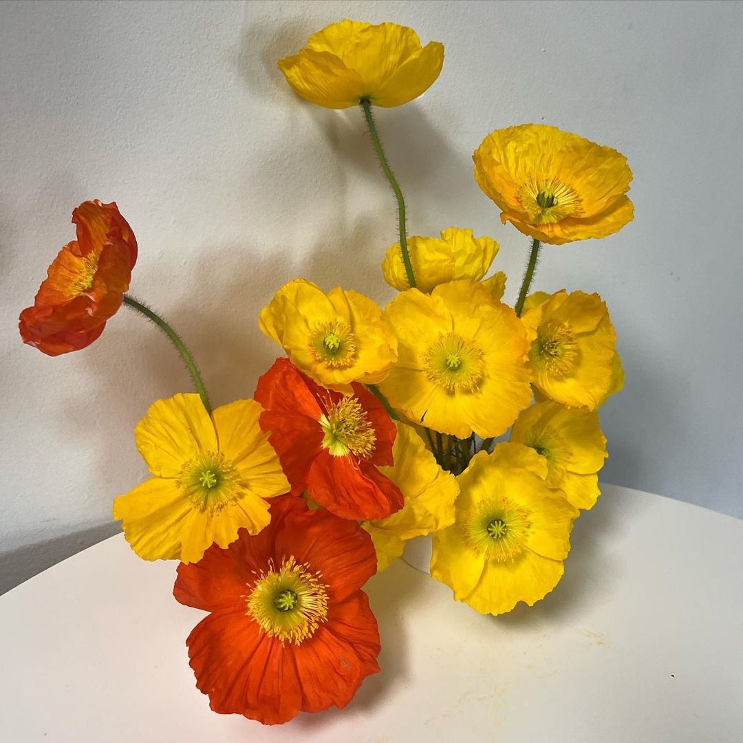 A vase filled with vibrant yellow and orange poppies.