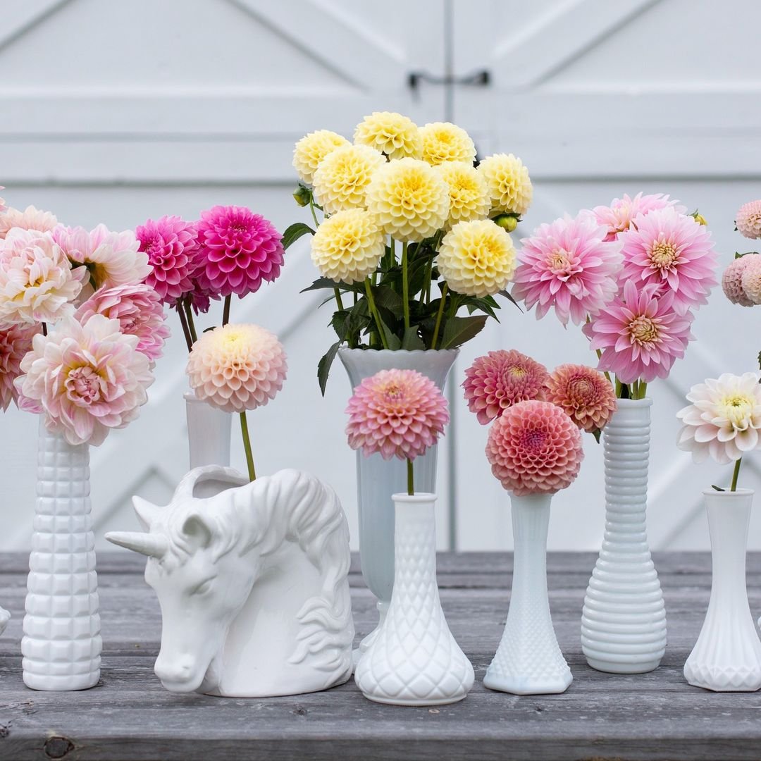 Elegant white vases showcasing pink and yellow flowers, ideal for a cut flower vase.