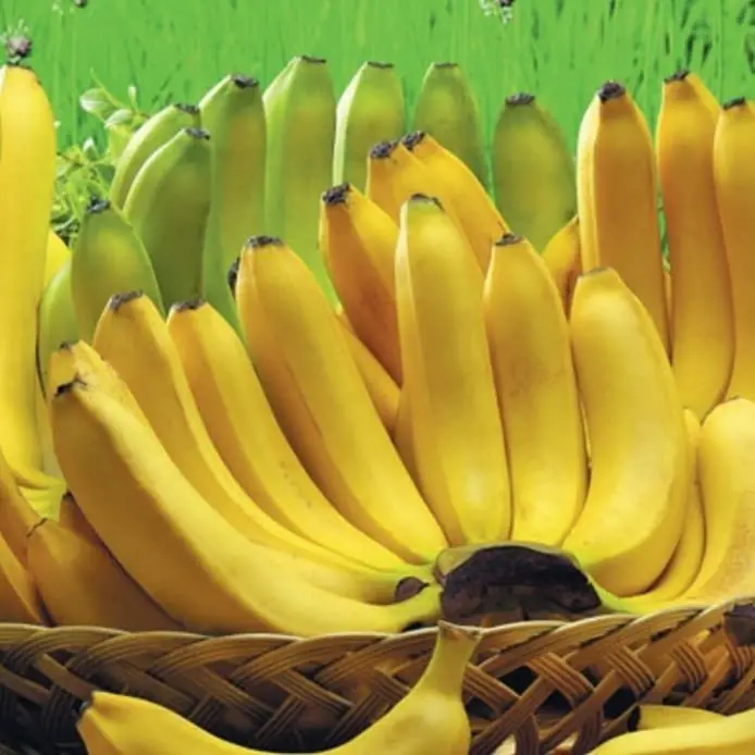 A banana is a sweet, elongated fruit with a soft, creamy flesh and a yellow peel when ripe.