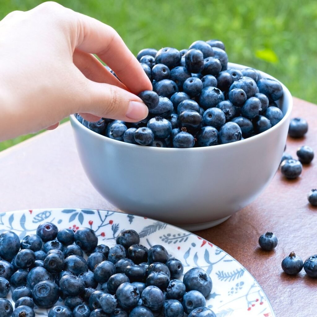 A bilberry is a small, dark blue berry with a sweet-tart flavor, similar to a blueberry but with a more intense taste and higher antioxidant content.