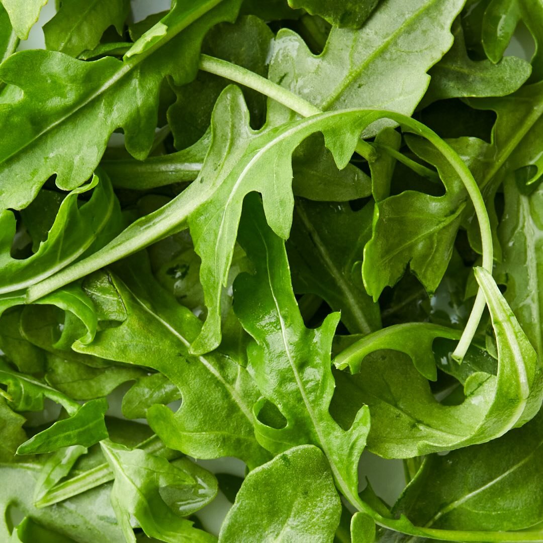 Detailed view of vibrant arugula foliage.