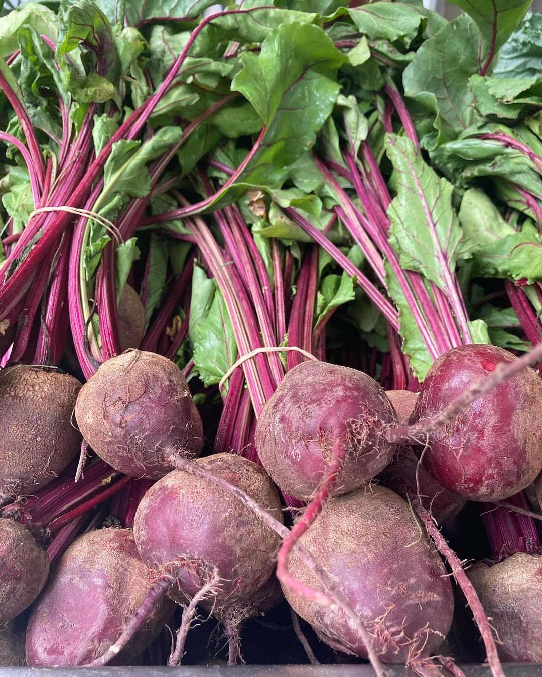 A box filled with beets and green leaves.