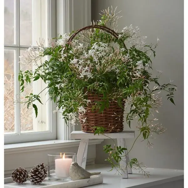 A basket of white jasmine flowers placed on a table beside a lit candle, creating a serene and elegant atmosphere.