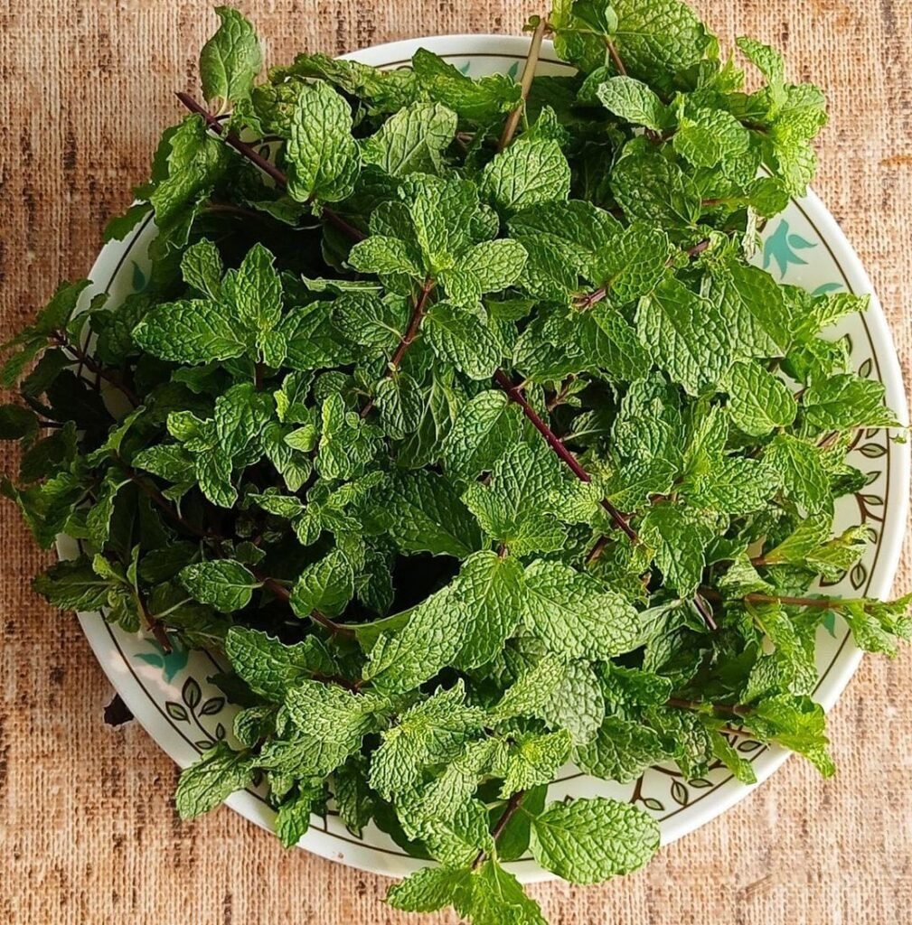 Mint