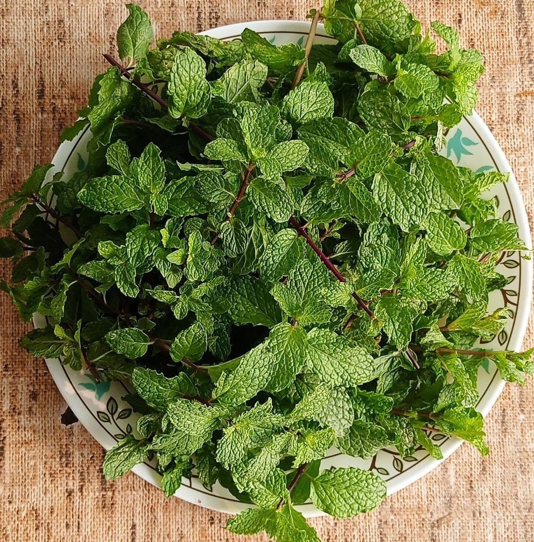 A bowl filled with vibrant green mint leaves placed elegantly on a wooden table, showcasing their freshness and aroma.