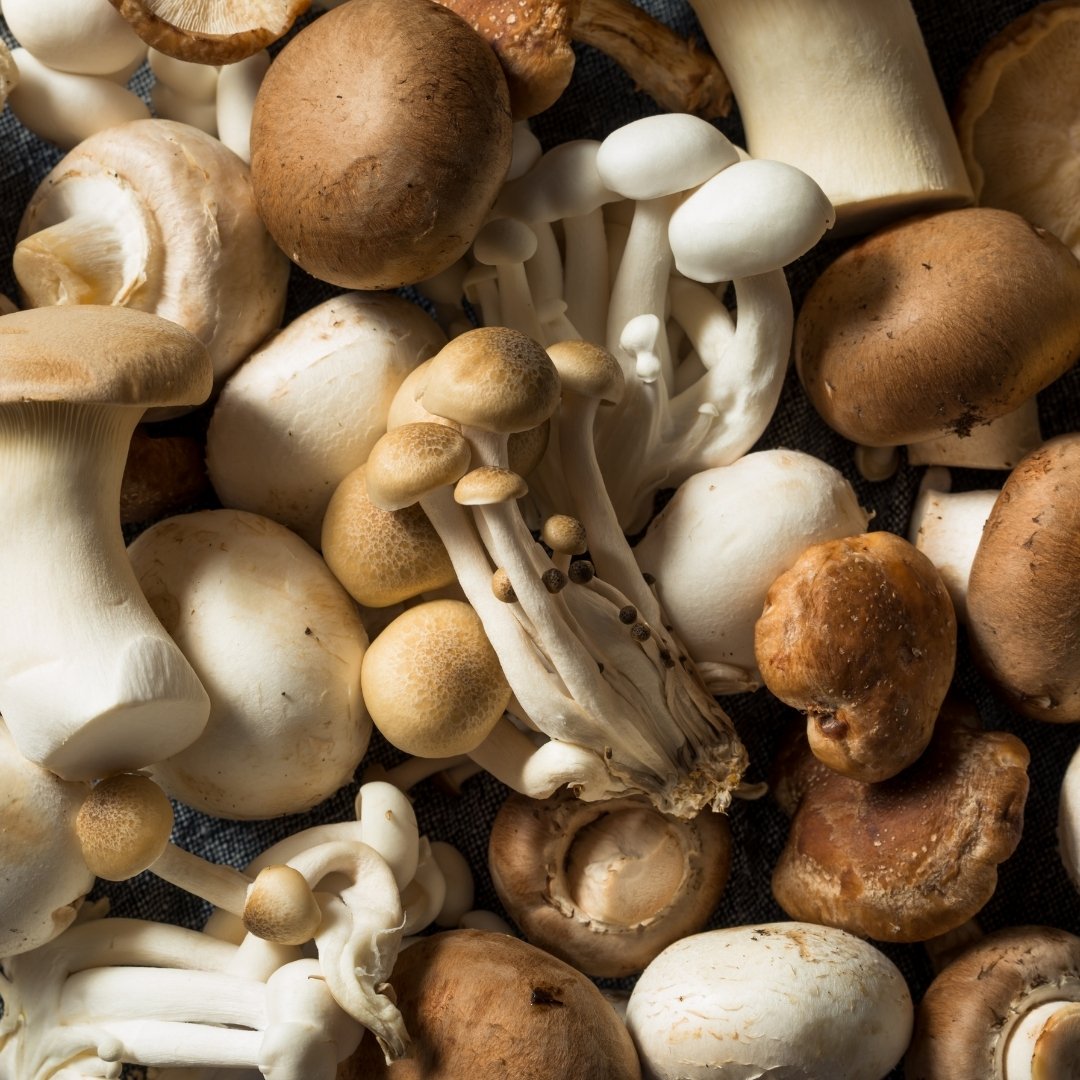 A variety of mushrooms stacked on a wooden table.