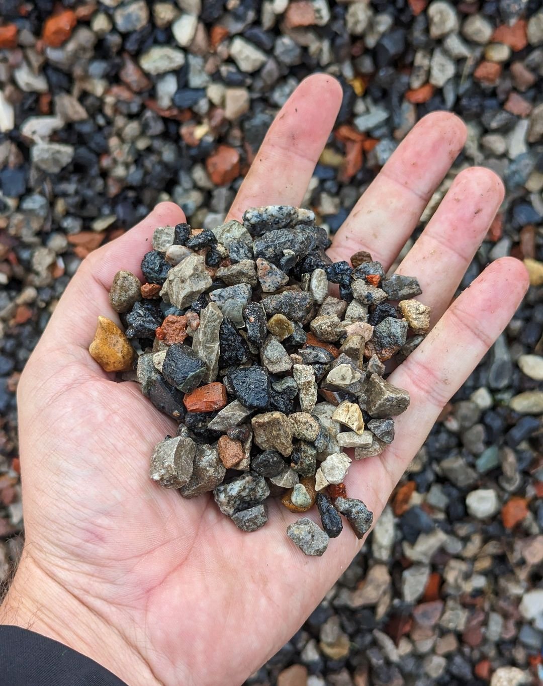 A person holds a handful of pea gravel, showcasing the small, smooth stones in their palm.