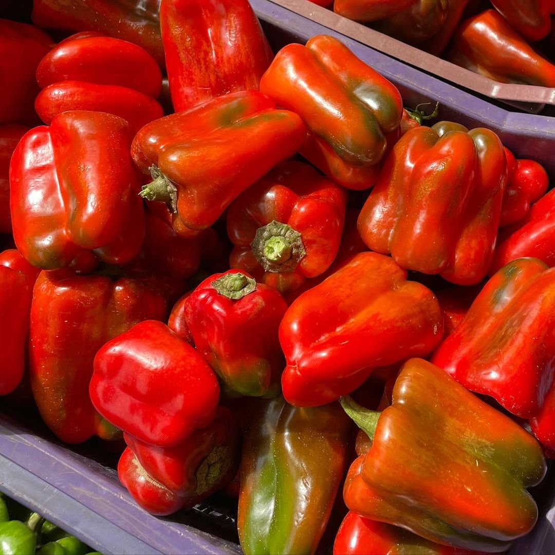 A box filled with a colorful assortment of fresh peppers, showcasing their vibrant hues and varied shapes.
