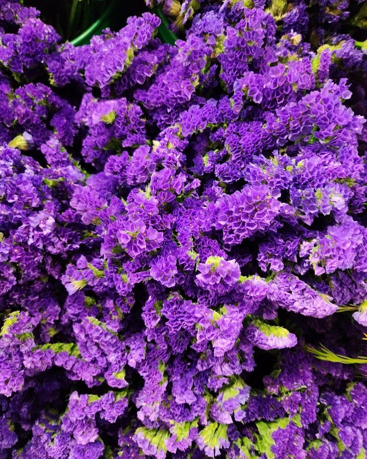 A vase filled with vibrant purple statice flowers, showcasing their delicate petals and lush greenery.