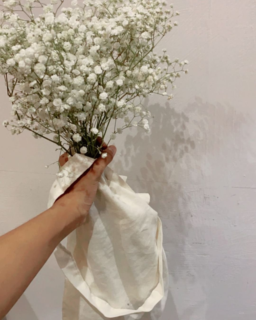 A hand gracefully holds a white bag filled with delicate Baby's Breath flowers, showcasing their soft beauty.