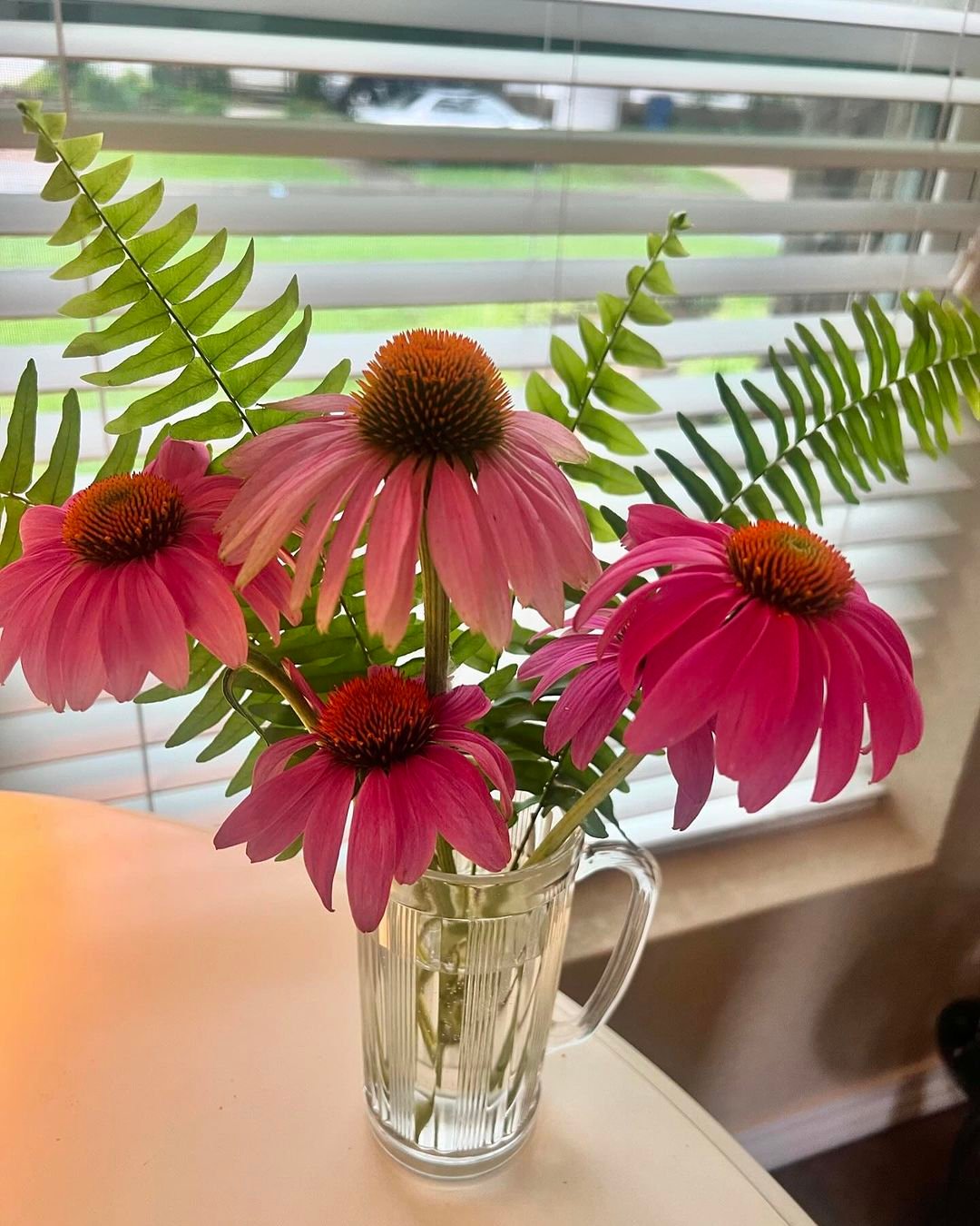 Coneflowers are hardy, daisy-like perennials with vibrant petals and raised centers, popular for attracting pollinators and their medicinal benefits.