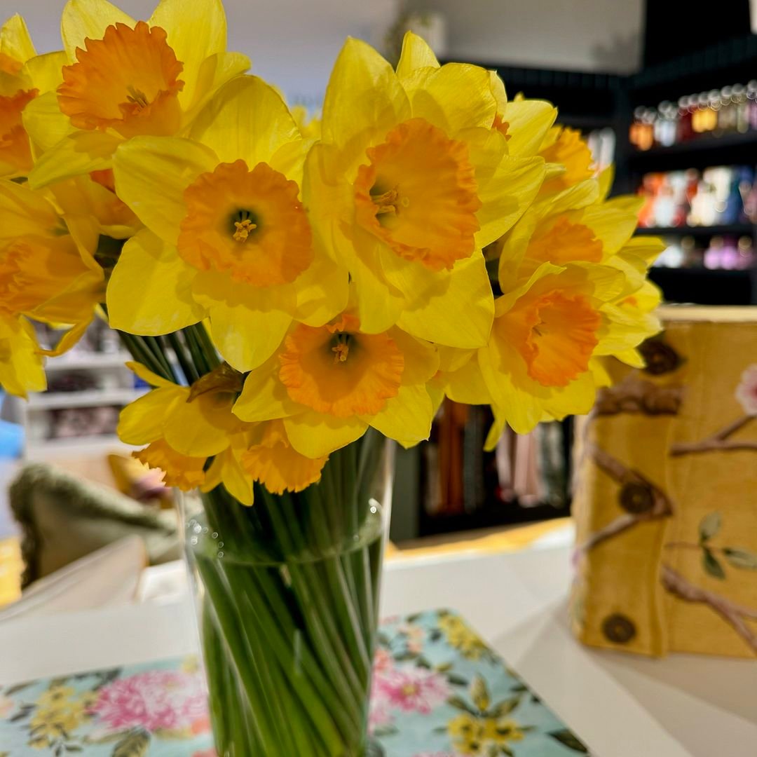 Daffodils are bright, trumpet-shaped spring flowers with yellow or white petals and a central corona, symbolizing new beginnings and renewal.