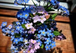 Forget-Me-Not Bouquets: Creating Timeless Beauty with Delicate Blue Blooms (2024)