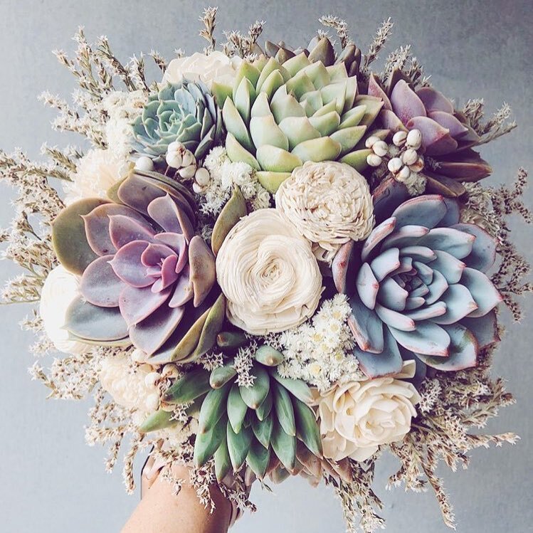 Succulent bouquets are arrangements made from a variety of succulent plants, offering a long-lasting, drought-tolerant alternative to traditional flower bouquets with unique textures and colors.