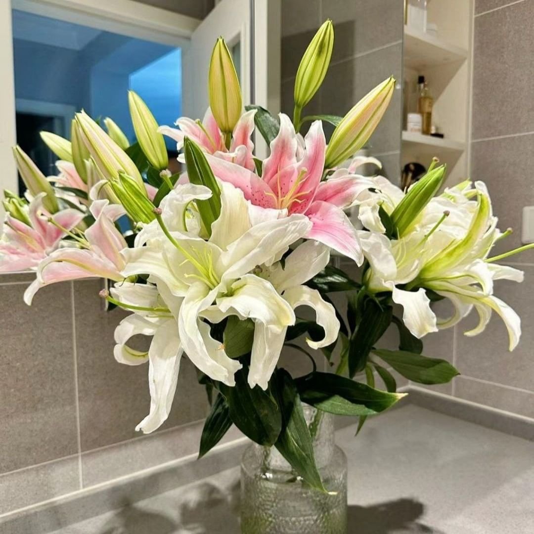 Lilies are elegant, trumpet-shaped flowers with a variety of colors and patterns, known for their fragrant blooms and use in both gardens and floral arrangements.