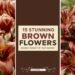 15 Stunning Brown Flowers for Your Garden