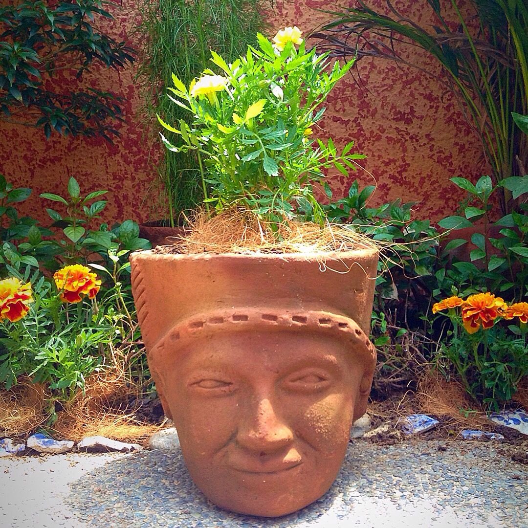 A terracotta flower pot featuring a whimsical face, filled with vibrant marigolds, adding charm to any space.