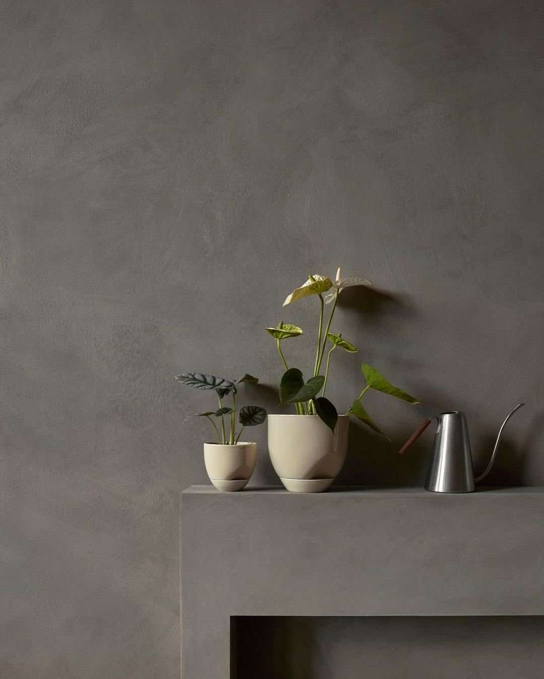 A grey wall features a white vase containing a plant, which appears to be suffering from overwatering.